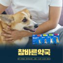 2층바른약국 이미지