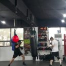 와룡복싱 이미지