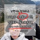 찰떡궁합 남편이 / ★★샤모니 루지 추천! 블라블라카, 떼제베 TGV 후기_샤모니→안시, 안시→리옹역...