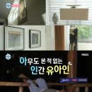 아인하우스 이미지