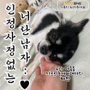 인정 사정 없는 미르 요정님 😇 이미지