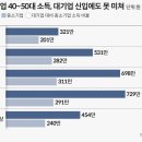 [포기하는 2030]대기업 신입보다 적은 中企 부장 월급… 황금티켓 집착사회 낳았다 이미지