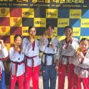 영재1 태권도 도장 네이버블로그