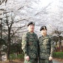 태양상사 이미지