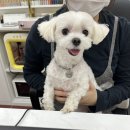 소래포구에서 대하구이, 전어회, 꽃게 라면 먹고 온 후기 +가격정보