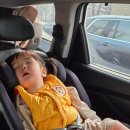 킹덤키즈-D 이미지