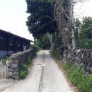 서호동-7 이미지