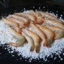 안면도쥬라기박물관 이미지