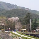 화북초등학교 이미지