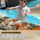 이상한파충류 | 어푸어푸 수원 판타지움 두돌 아기와 오픈런한 실내 파충류 체험 카페