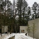 평창차이나 이미지