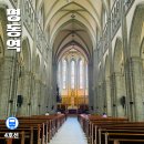 성모사랑약국 | 서울 명동역 가볼만한곳 추천 명동성당부터 볼거리 먹거리 한눈에