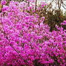 수성구민운동장 이미지