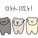 두찜 곡반정점 네이버블로그