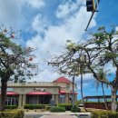 티리조트1 이미지