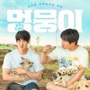 멍뭉이네 이미지