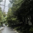 오금로31길 | 7월 4,5주.. 길다 길어 초복과 중복을 보내며 7월 엔딩, 청계천 러닝, 성심당 망고롤 오픈런