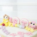라이스단미 이미지