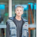 호시 이미지