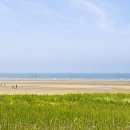 더(The)라온 이미지