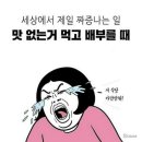 항생제를 먹으니... 이미지