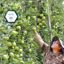 옛살비농장 이미지