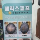 그랜드가발 이미지