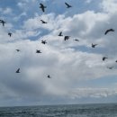 경주펜션 맛집 추천 해피데이 이미지