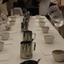 커핑 바리스타 이미지