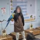 예은아기사랑어린이집 이미지