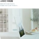 와이정보시스템