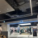 아디다스 군산점 이미지