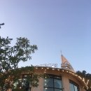 아프리코 이미지