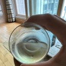 끄레오 이미지