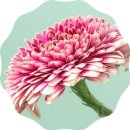 천년나무7단지왕공인중개사사무소 이미지