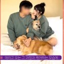이타