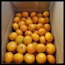 스러움 농장 이미지