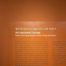 제주도립미술관 26년 초 방문 기록