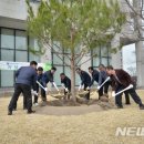 정부대전청사 이미지