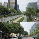 탄탄면사부 | 진중우육면관 5년연속 미쉐린가이드 오른 청계천 맛집 후기