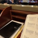 숨 참고 5월 다이브