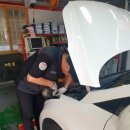 스피드메이트 김해진영점 이미지