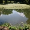 원조마포갈비 이미지