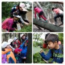 [모집]2016주제가 있는 숲학교 - 파브르탐험대 대원을 모집합니다! 이미지