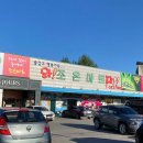 뭉클하우스 펜션 | 가평 글램핑&amp;카라반(x) 애견동반 &lt;뭉클하우스&gt; 가성비 좋고 훨씬 더 감성있고 예쁜 마차에서 잘 사람!!