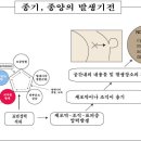 경희피레토한의원 이미지