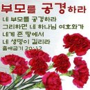 공경 이미지