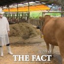 더한우농장 이미지