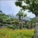 파인클라우드 이미지