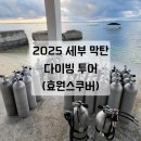 팀맥스 | [2025 필리핀 세부 막탄 ] 두번째 다이빙 여행 후기 / 엄마는 다이버
